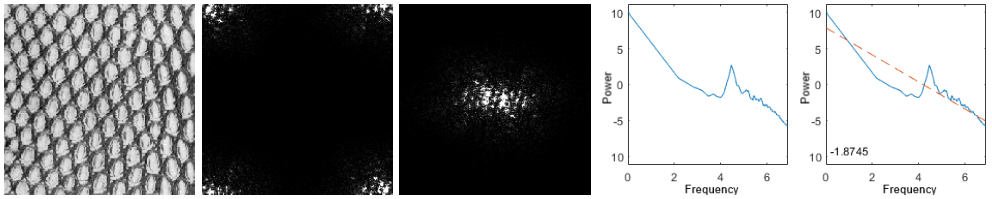 Performance By Topology Variant